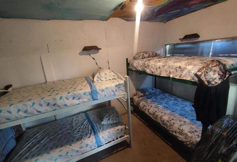 هاستل Hostal La Buena Vida