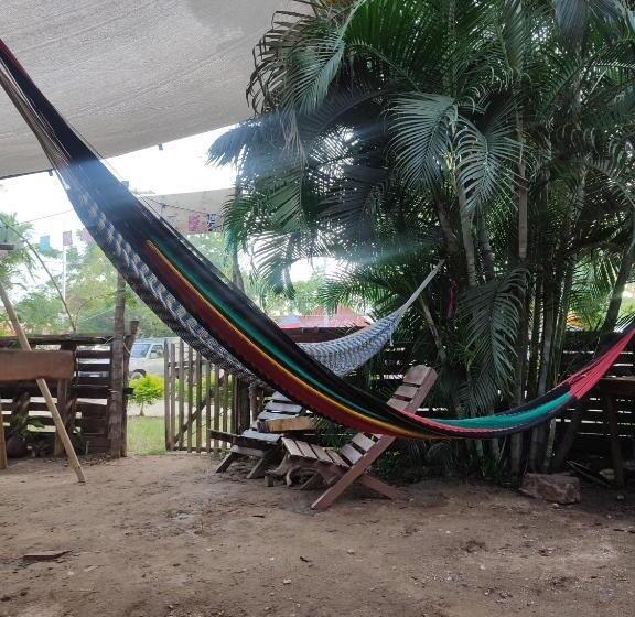 Общежитие Hostal La Buena Vida