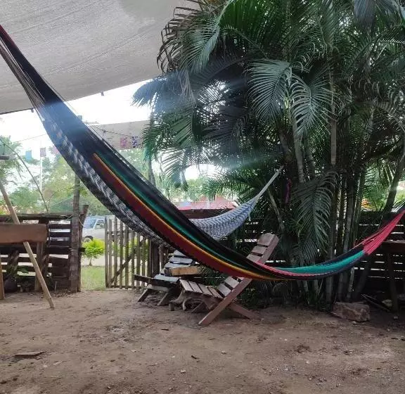 ユースホステル Hostal La Buena Vida