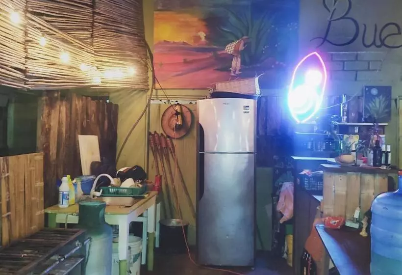 ユースホステル Hostal La Buena Vida