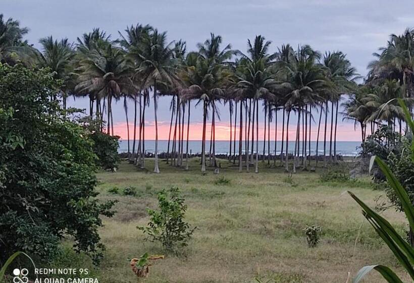 Szálló Hostal Té De Menta