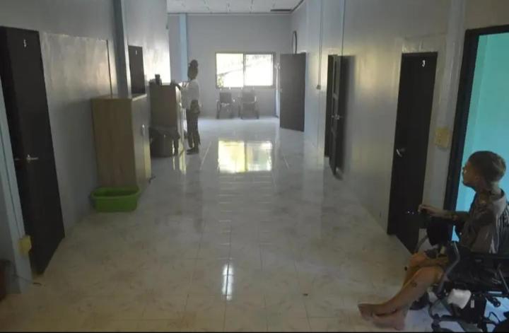 Hostel The Lion House