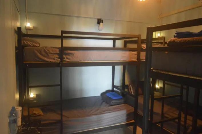 Hostel The Lion House