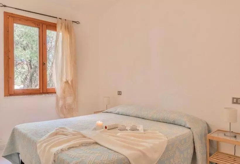 Apartments With Air Conditioning And Private Outdoor Area In The Center Of San Teodoro