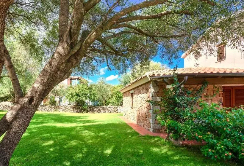 Apartments With Air Conditioning And Private Outdoor Area In The Center Of San Teodoro