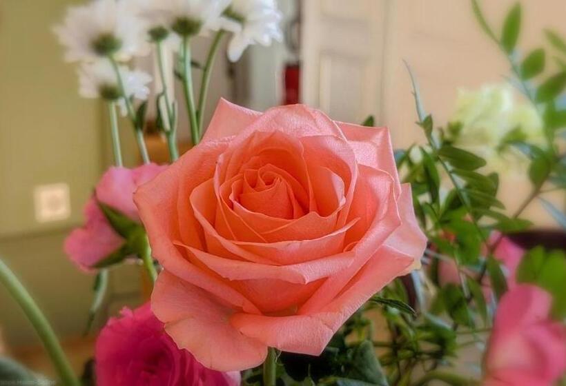 צימר La Closerie Des Anges