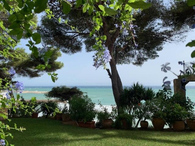 تختخواب و صبحانه Paraíso Costa Dorada