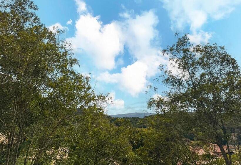 Albergue Alecrim Pousada