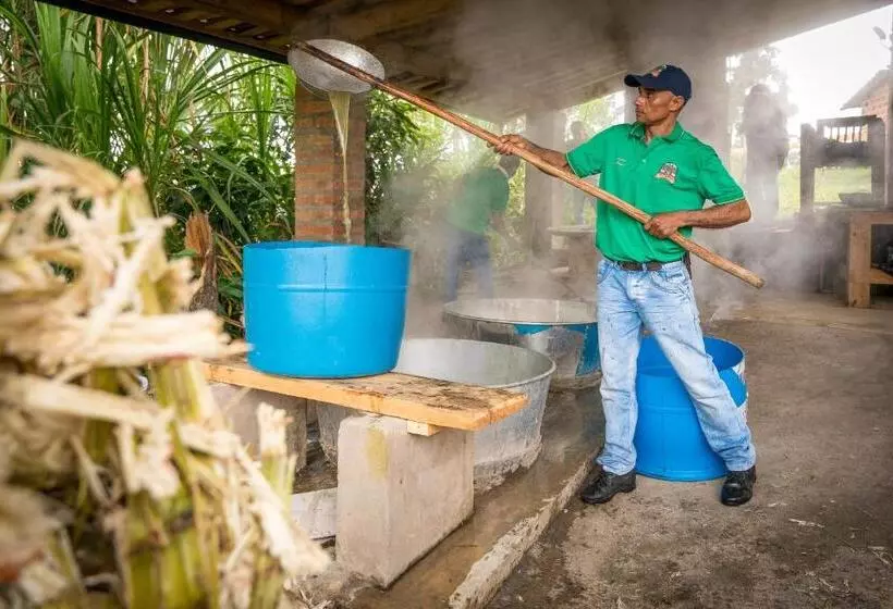 Ciudadela El Artesano