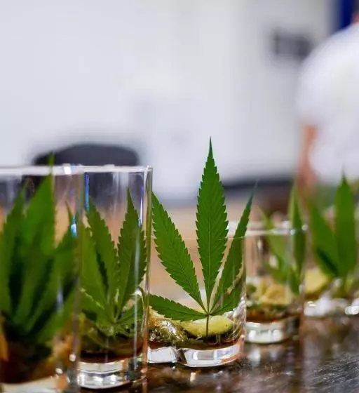 هتل Cannatel Exclusive