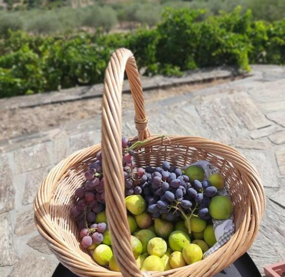 בית מלון כפרי Quinta Alto Da Fraga