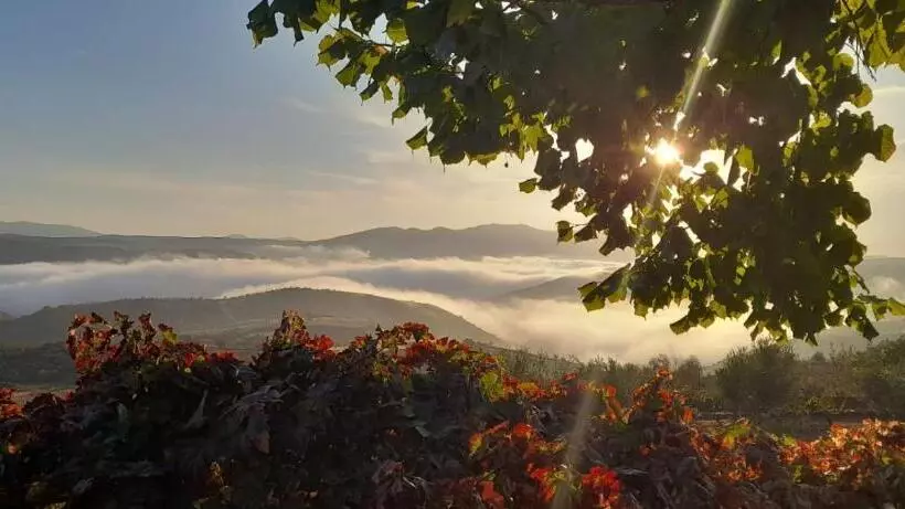 Hotelli Quinta Alto Da Fraga