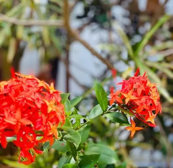 Hotelli Sunflower Inn