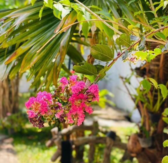 ホテル Sunflower Inn