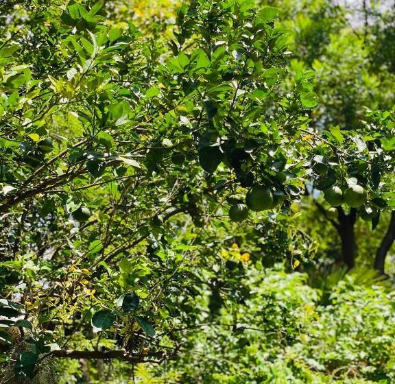 ホテル Sunflower Inn