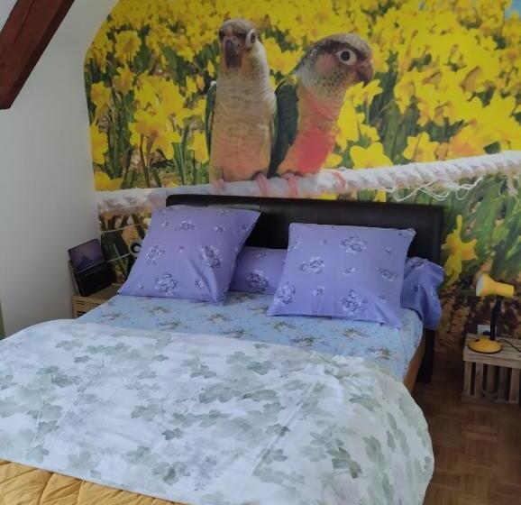 Bed and Breakfast Chambres D Hôtes Du Clos Du Roi