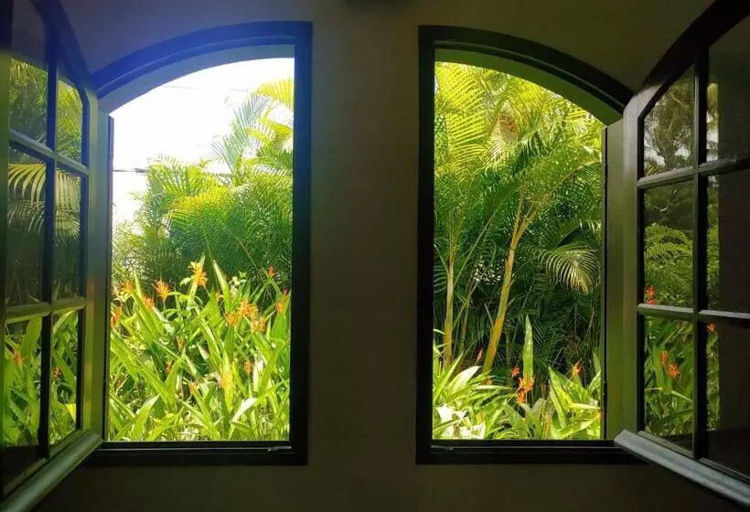 تختخواب و صبحانه Eskal Péi   Auberge De Jeunesse & Chambres D Hôtes