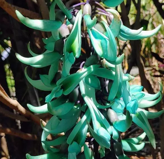 تختخواب و صبحانه Eskal Péi   Auberge De Jeunesse & Chambres D Hôtes