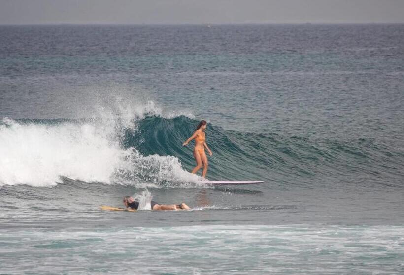 فندق Melody Surf Camp   Ekas Lombok