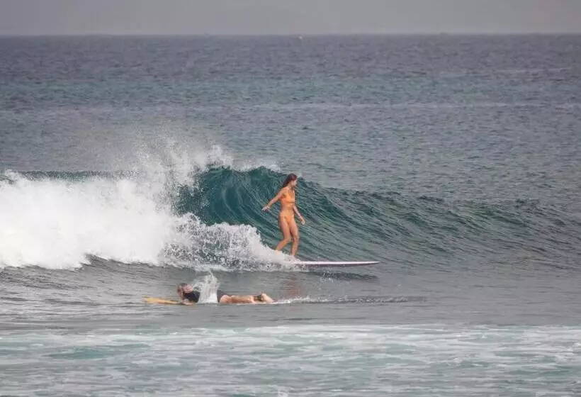 ホテル Melody Surf Camp   Ekas Lombok