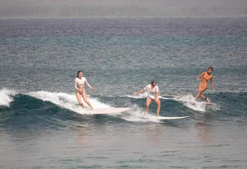 ホテル Melody Surf Camp   Ekas Lombok