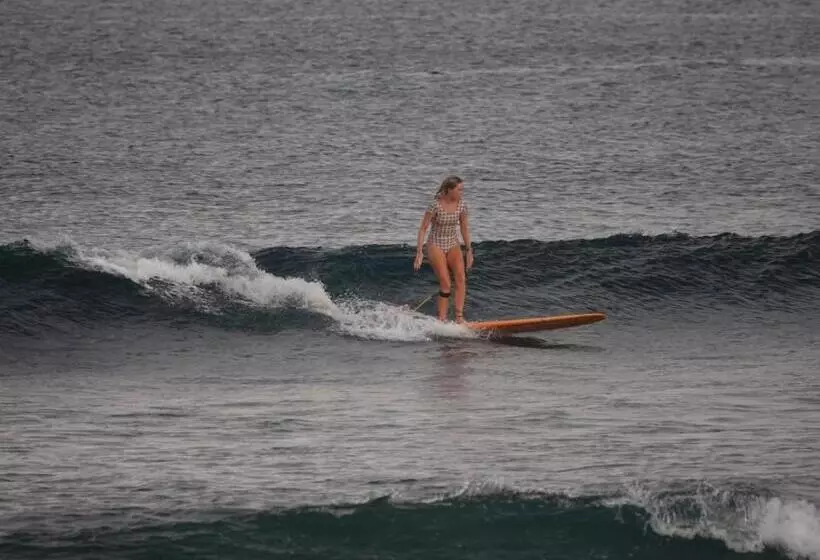 ホテル Melody Surf Camp   Ekas Lombok