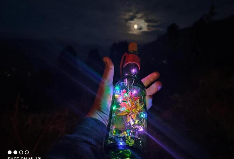 酒店 Tree House Jibhi The Hidden Cottage