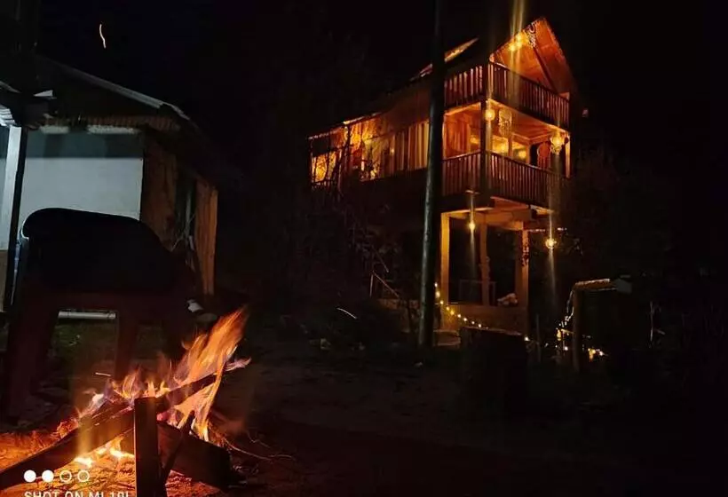 ホテル Tree House Jibhi The Hidden Cottage