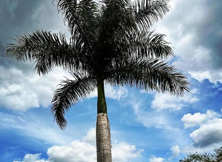 بنسيون Dee Park Entertainment Centre