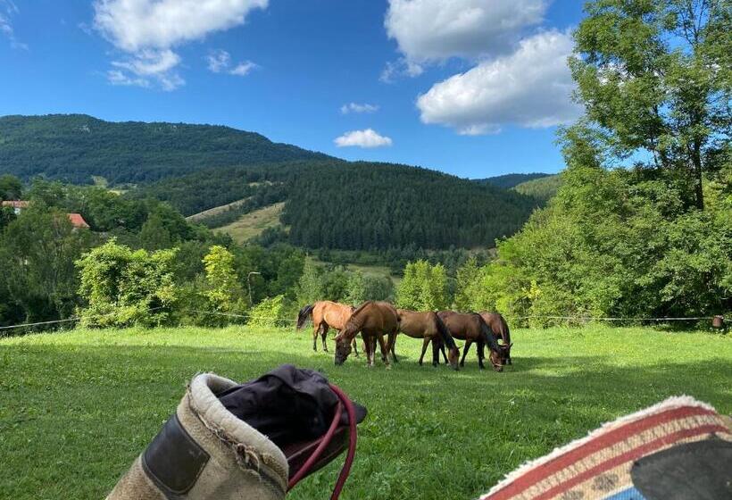 پانسیون Eco Lodge Taor