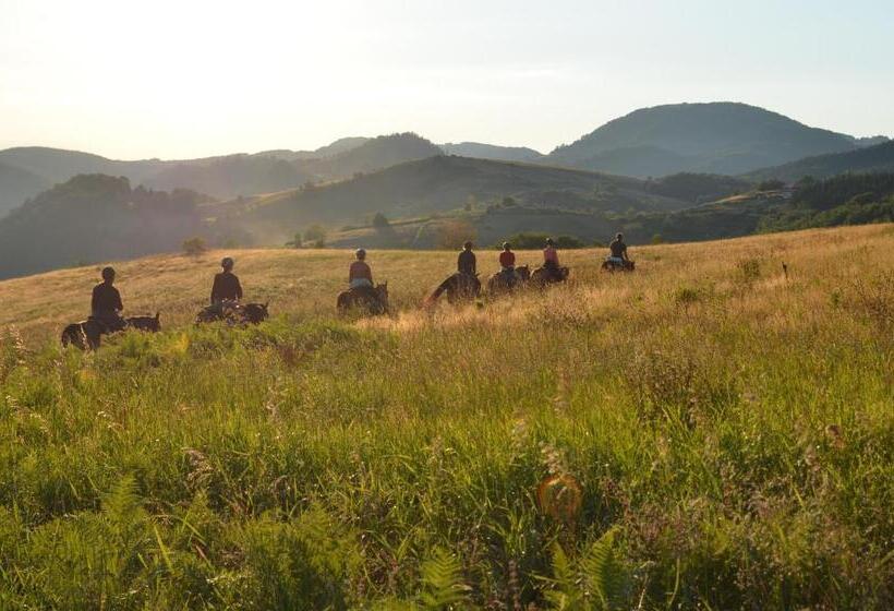 پانسیون Eco Lodge Taor