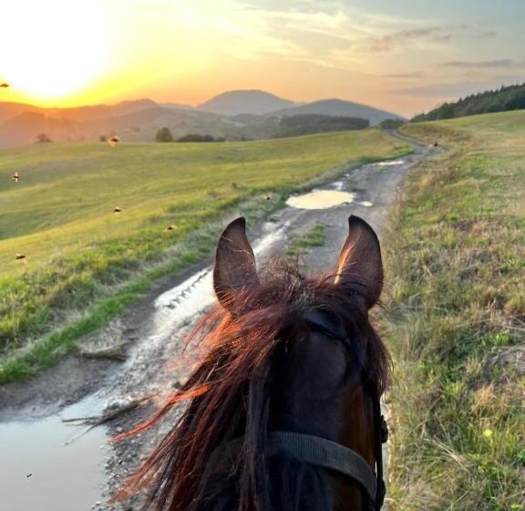 پانسیون Eco Lodge Taor