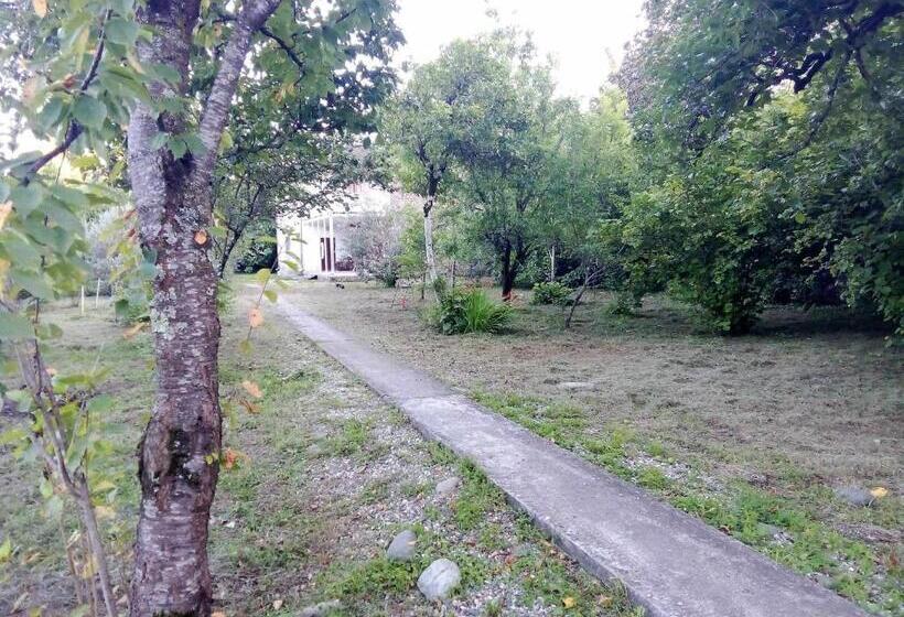 پانسیون Guesthouse Lasha