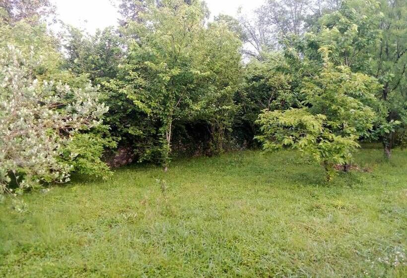 پانسیون Guesthouse Lasha