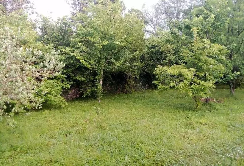 پانسیون Guesthouse Lasha