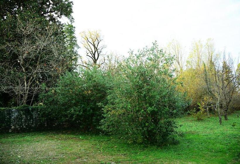 پانسیون Guesthouse Lasha