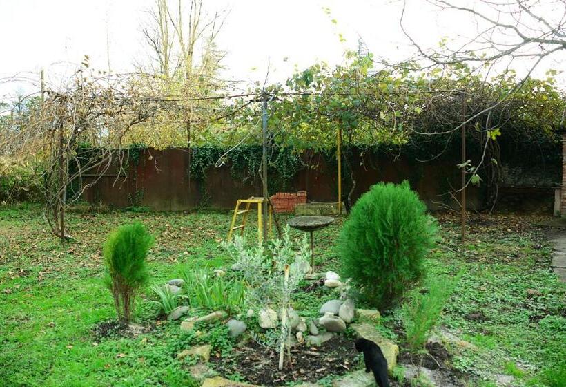 پانسیون Guesthouse Lasha