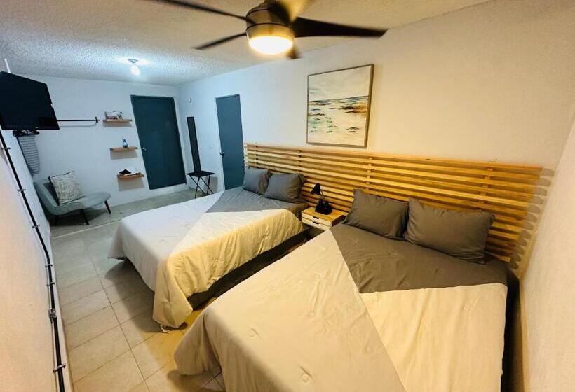 פנסיון The Stay Doña White