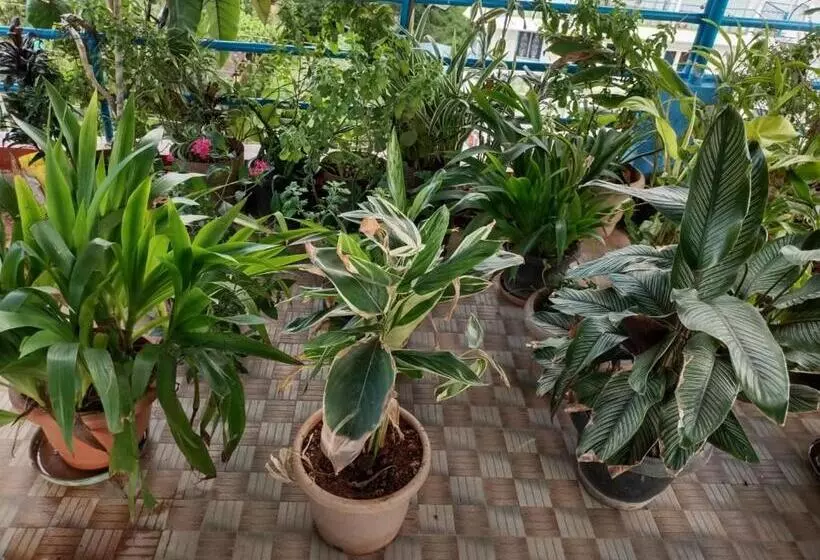 Aamiaismajoitus (B&B) Sea Sun Paradise