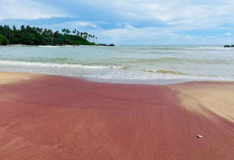 Aamiaismajoitus (B&B) Sun Beach