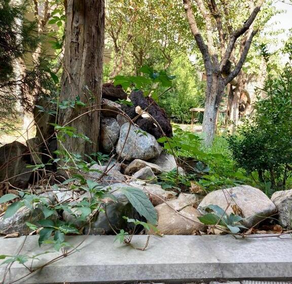 Hostel Travels In Comfort