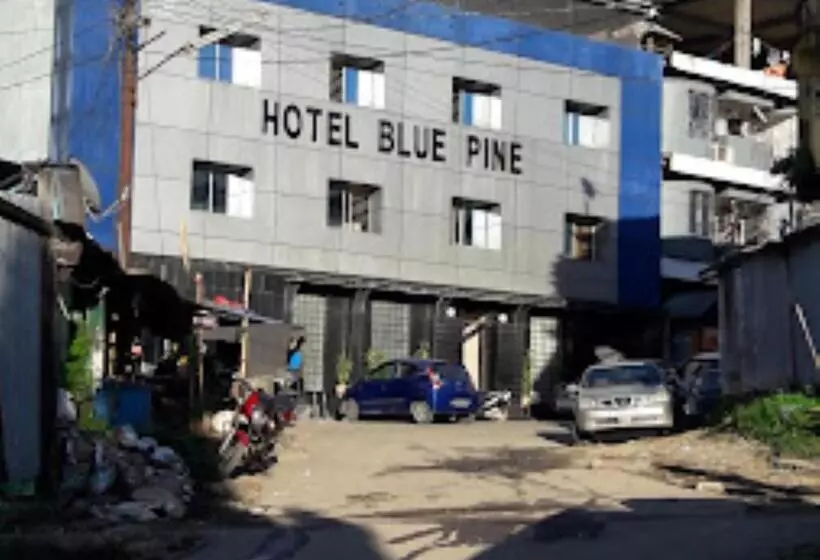 Hotelli Blue Pine Arunachal Pradesh