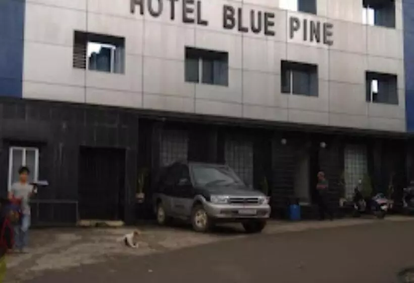 Hotelli Blue Pine Arunachal Pradesh