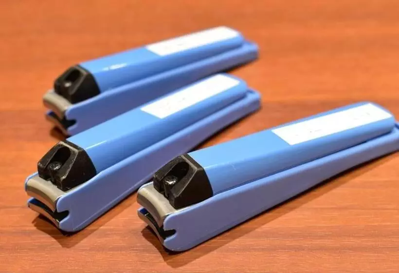 Hotelli ドーミーインexpress豊橋