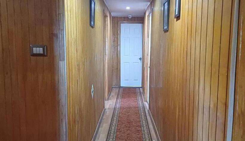 酒店 Plaza Tucapel