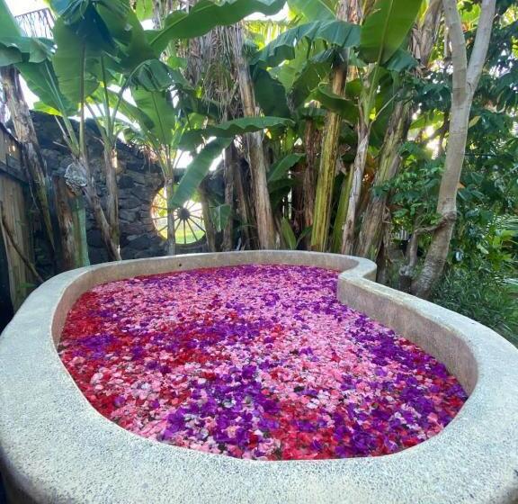 ペンション Pura8ocho