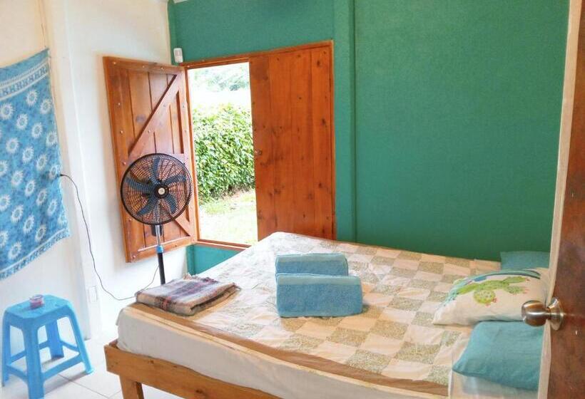 هاستل Hone Sweet Hone