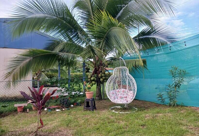 هاستل Hone Sweet Hone