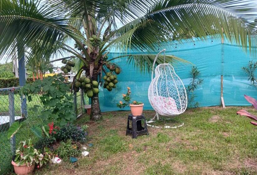 هاستل Hone Sweet Hone