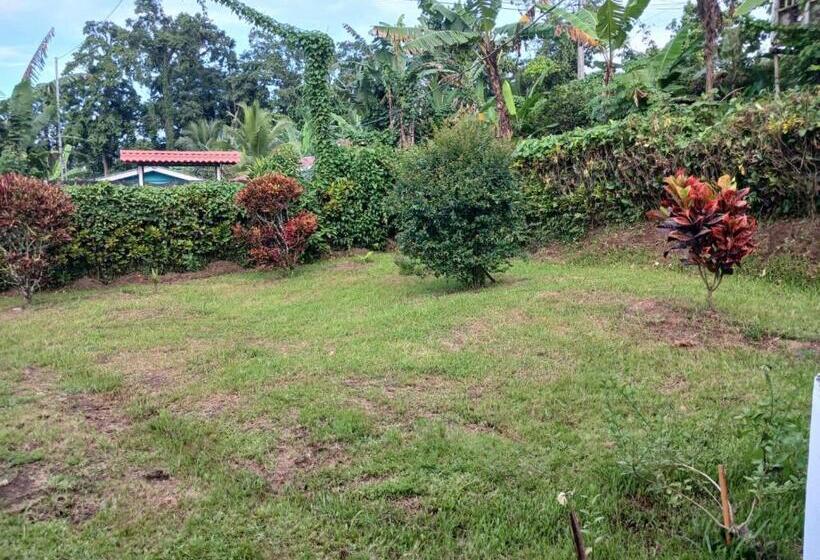 هاستل Hone Sweet Hone